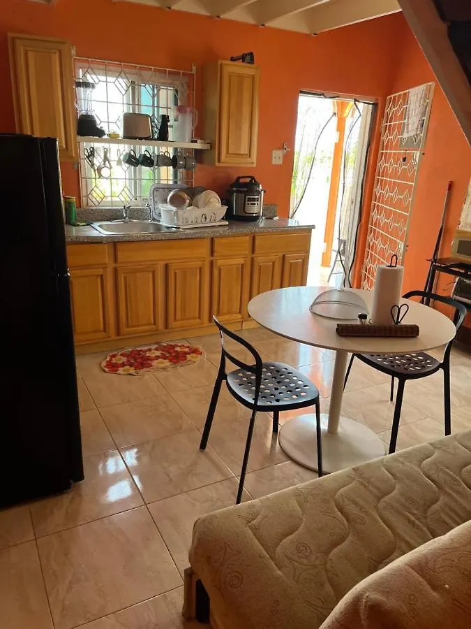 Cool Breeze Mobay Apartment Montego Bay